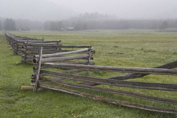 Idaho, Sawtooth Mts Fence in misty farm country